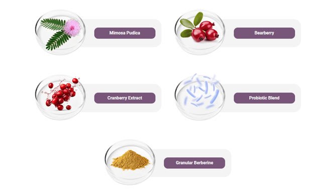 FemiPro Ingredients